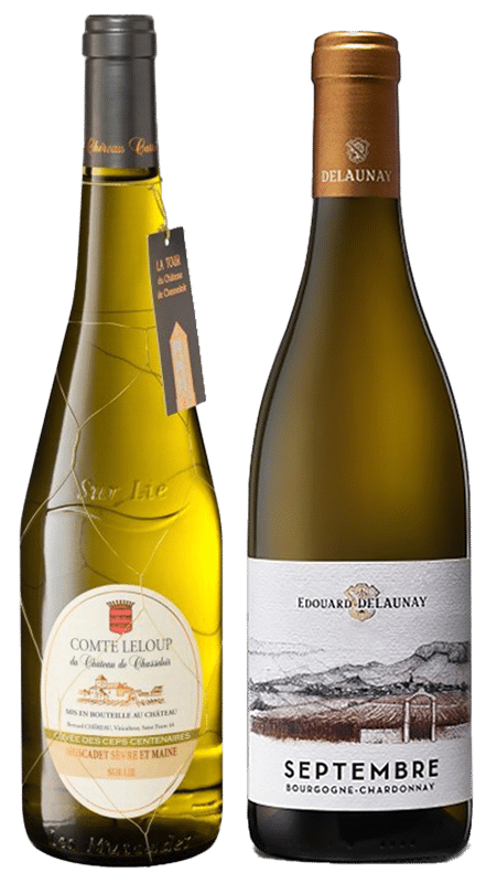 זוג יינות לאוהבי שרדונה- אדוארד דלאונה בורגון לבן ושרו קארה מוסקדה